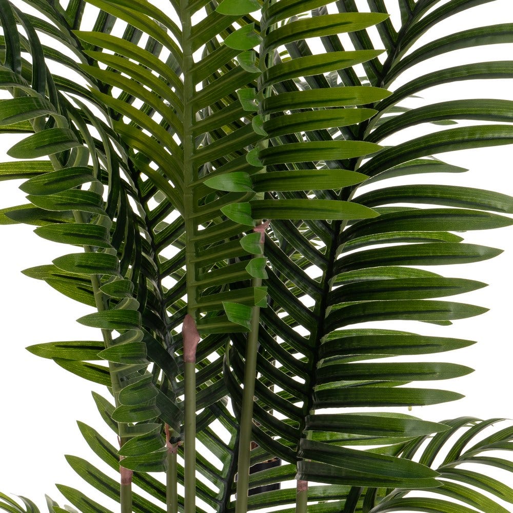 PALMERA FERREIRA 160CM