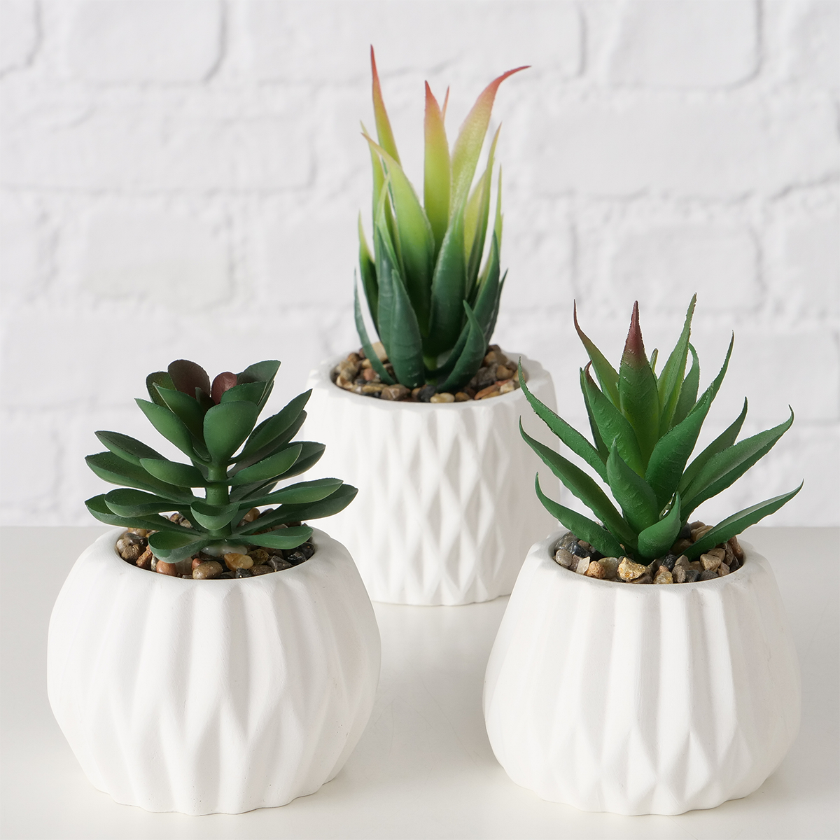 SAYRA PLANTE BLANCHE 15CM