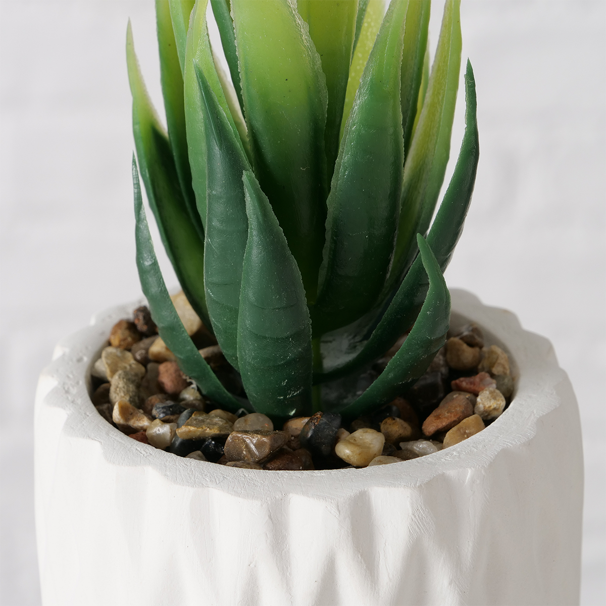SAYRA PLANTE BLANCHE 15CM