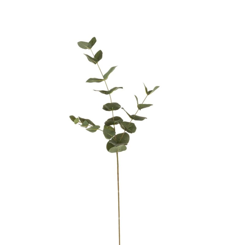 BRANCHE D'EUCALYPTUS TAIAO 60 CM