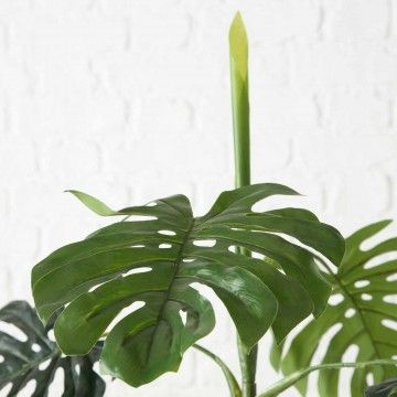 MONSTERA AILYN 110CM