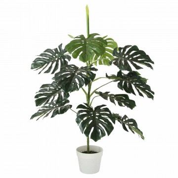 MONSTERA AILYN 110CM