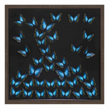 PHOTO MARIETA 3D PAPILLONS 55CM