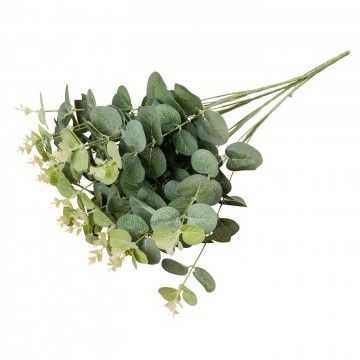 BRANCHE D'EUCALYPTUS ADONIA 50CM.