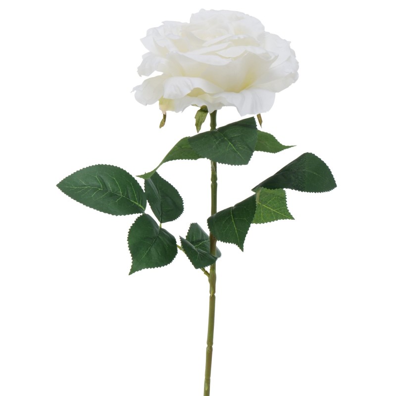 DAIM BLANC ROSE BRANCH