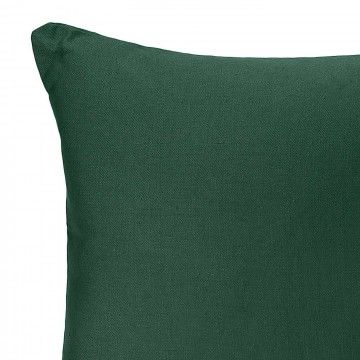 COUSSIN VERT TASMANIE 38CM