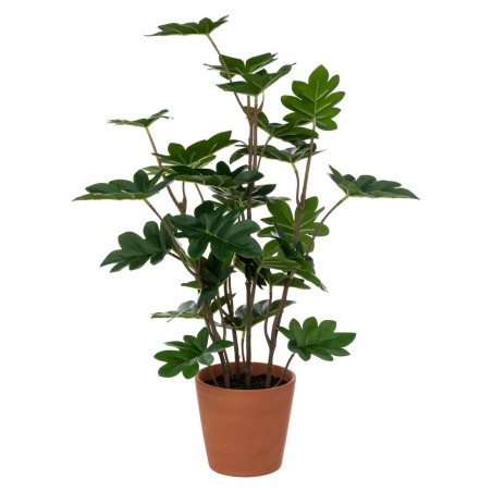 PLANTE ANUKY 65CM